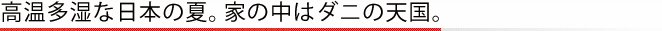 高温多湿な日本の夏。家の中はダニの天国。