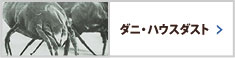 ダニ・ハウスダスト
