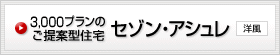 3,000�v�����̂���Č^�Z�� �Z�]���E�A�V���� �m��