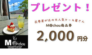 ※盛岡、北上の展示場に行ったことがない方、および資料請求されたことない方が対象
※お渡しは対面に限ります