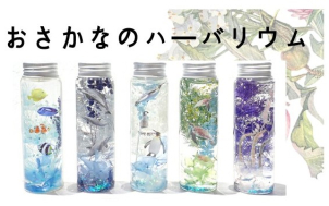 小さなお子様には海の生き物ハーバリウムもあるよ！貝殻やビーズを入れても素敵♪入れてみたい材料がございましたらご持参いただけます☆