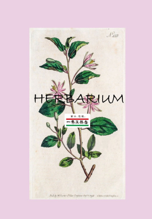 §HERBARIUM Work Shop§初心者さん大歓迎♪ 手ぶらでOK！※数に限りがございます。ご予約をお勧めいたします
