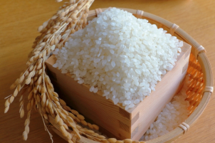 初めてご来場の方にお米2kgプレゼント！