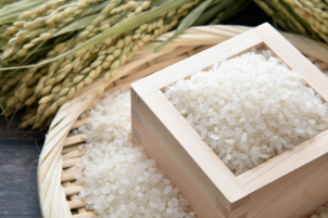 初めてのご来場でお米2kgプレゼント!