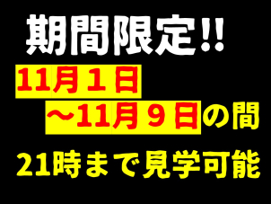 あなたを魅惑の世界に誘い込む。夜の床暖房体験はひと味違う！