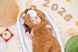 干支（午）のぬいぐるみです！
年賀状などにご利用下さい♪