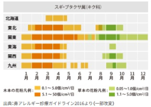 花粉は時期を問わず、さまざまな種類が1年中飛んでいます