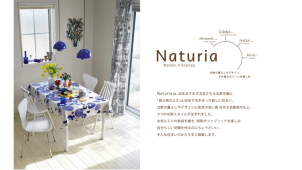 出雲市西新町分譲展示場(完全予約制)