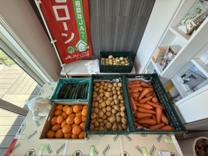 にんじん、じゃがいも、玉ねぎ、きゅうり、みかん！！！
今日はカレーで決定ですね。