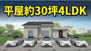 グランスマート　平屋建て　30坪４LDK。
解放感のある10帖の勾配天井。考え抜かれた洗濯導線など見どころ十分です！！