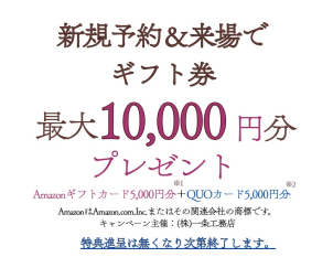 新規ご予約＆ご来場で【ギフト券最大１万円分プレゼント】☆プレゼント条件：※1 Amazonギフトカード5,000円分：一条工務店に始めてご予約・ご来場の方。将来的に新築購入をお考えの方。特典進呈は無くなり次第終了します。詳細はお問い合わせください。
AmazonはAmazon.com.Inc.またはその関連会社の商標です。キャンペーン主催：(株)一条工務店
