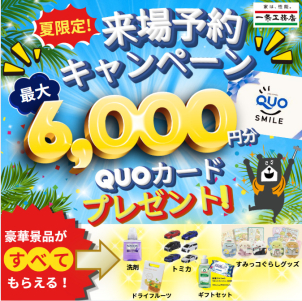 【9月限定】
ご来場予約された方限定で、最大6000円のQUOカード、さらにスペシャルおもちゃセットもプレゼント！
この夏限定のキャンペーンとなります！
※一条工務店に初めてご予約・ご来場の方限定となります。