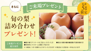 さらに事前来場予約で旬の梨詰め合わせもプレゼント！！
