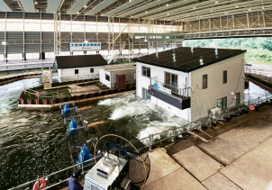 松戸東展示場