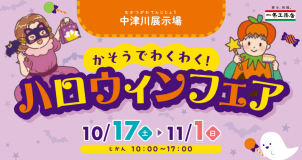 大人気のお菓子詰め放題イベントです。専用の箱がいっぱいになるまで好きなお菓子を詰め込もう！