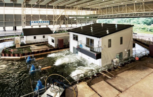 実際の建物を使った大規模な浸水実験を実施！水害に強い住まいの性能を検証しています。