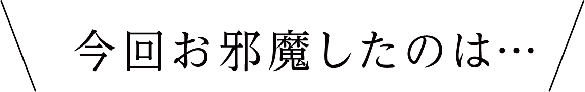 今回お邪魔したのは…