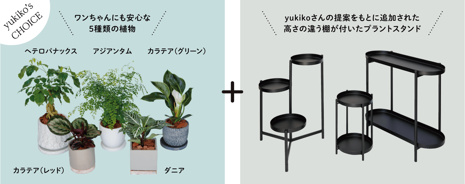 yukiko's CHOICE ワンちゃんにも安心な5種類の植物＋yukikoさんの提案をもとに追加された高さの違う棚が付いたプラントスタンド