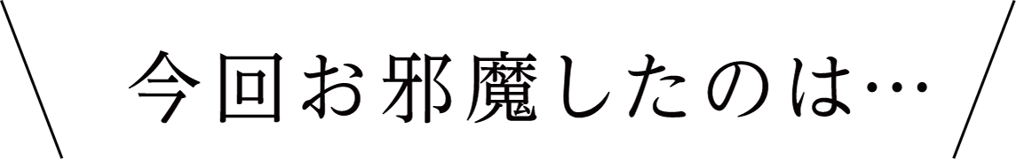 今回お邪魔したのは…