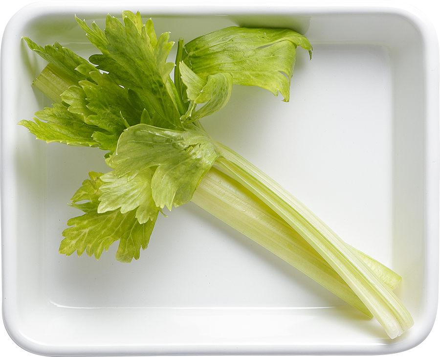 セロリ(茎の部分)