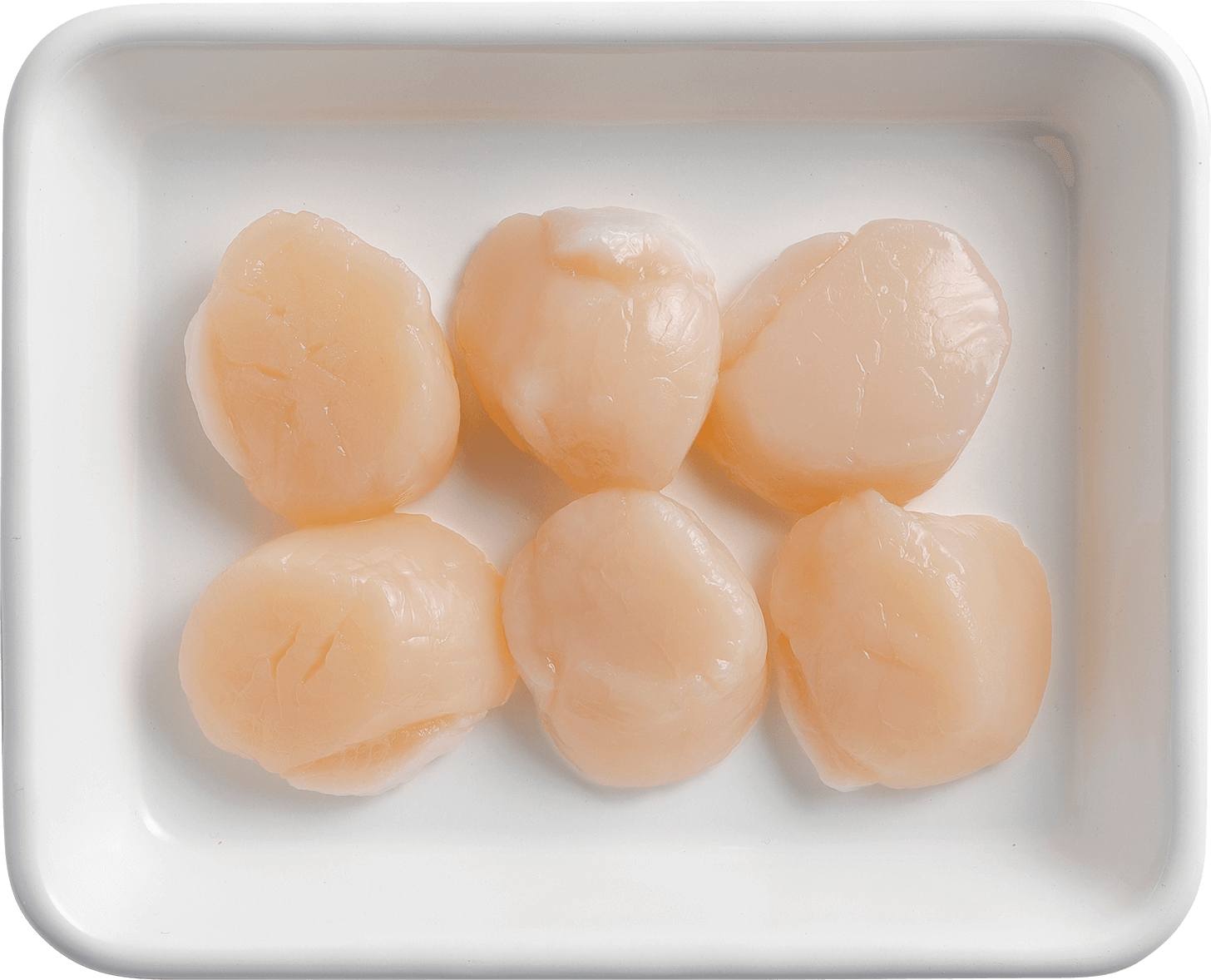 帆立(生食用)