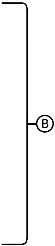 B