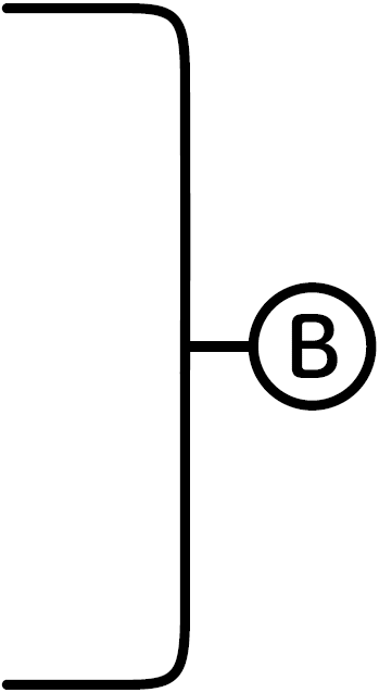 B