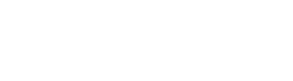 Delish Dish 60 + Recipes