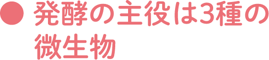 発酵の主役は3種の微生物