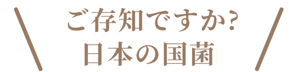 ご存知ですか？日本の国菌