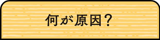 何が原因？