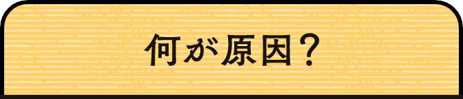 何が原因？