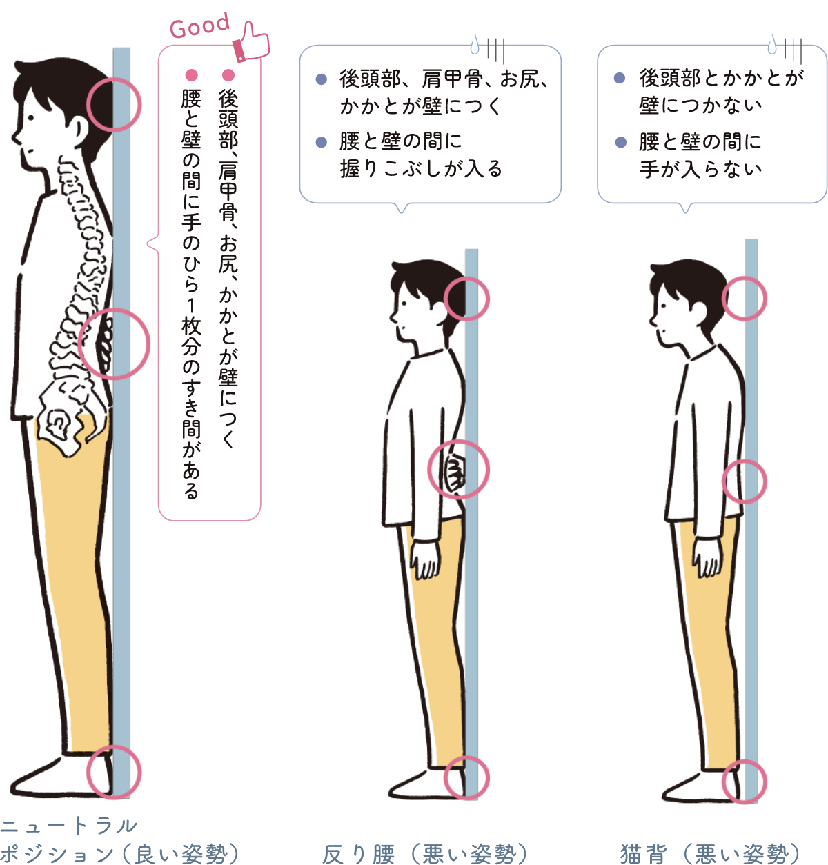 ニュートラルポジション（良い姿勢）● 後頭部、肩甲骨、お尻、かかとが壁につく● 腰と壁の間に手のひら1枚分のすき間がある 猫背（悪い姿勢）・後頭部とかかとが壁につかない・腰と壁の間に手が入らない 反り腰（悪い姿勢）・後頭部、肩甲骨、お尻、かかとが壁につく・腰と壁の間に握りこぶしが入る
