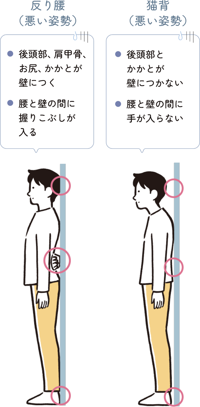 猫背（悪い姿勢）・後頭部とかかとが壁につかない・腰と壁の間に手が入らない 反り腰（悪い姿勢）・後頭部、肩甲骨、お尻、かかとが壁につく・腰と壁の間に握りこぶしが入る