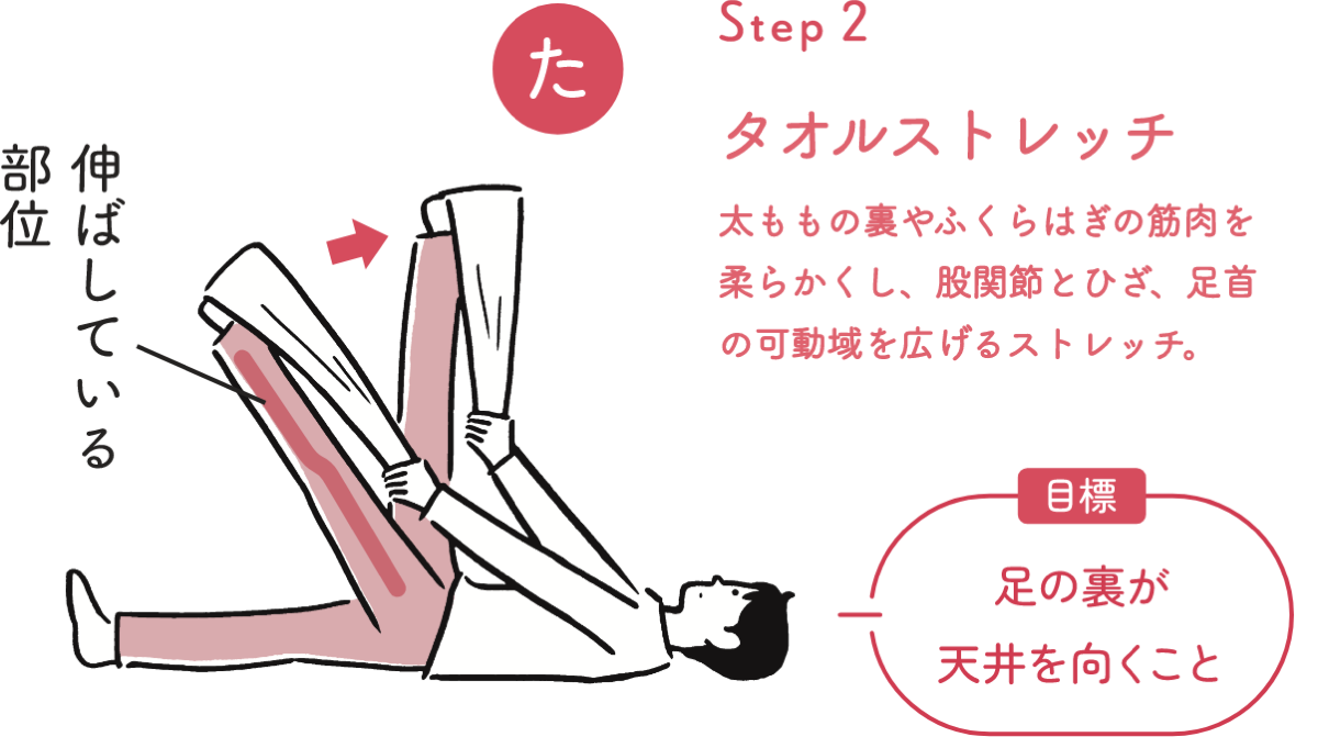 STEP 2 タオルストレッチ 太ももの裏やふくらはぎの筋肉を柔らかくし、股関節とひざ、足首の可動域を広げるストレッチ。目標 足の裏が天井を向くこと