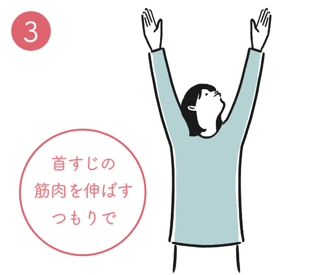 ❸ 首すじの筋肉を伸ばすつもりで