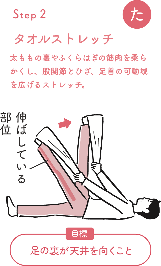 STEP 2 タオルストレッチ 太ももの裏やふくらはぎの筋肉を柔らかくし、股関節とひざ、足首の可動域を広げるストレッチ。目標 足の裏が天井を向くこと