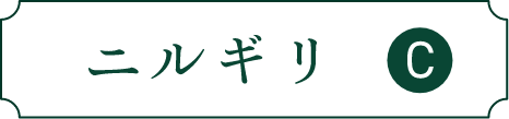 ニルギリ C