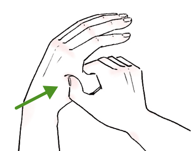 親指の先で5〜10秒間強めに押す。