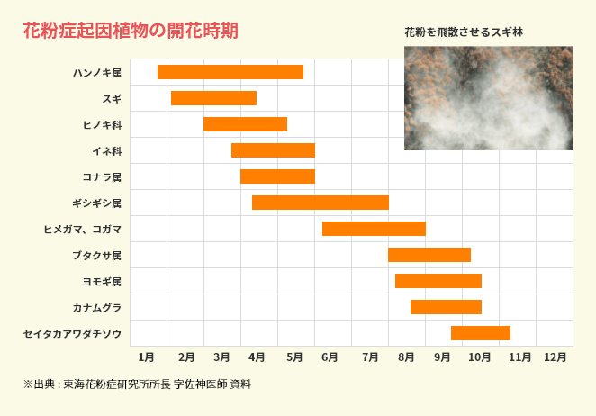 花粉症起因植物の開花時期