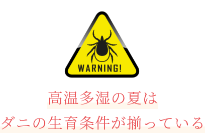 高温多湿の夏はダニの生育条件が揃っている