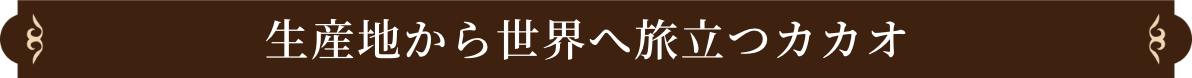 生産地から世界へ旅立つカカオ