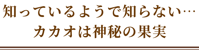 知ってるようで知らない…カカオは神秘の真実