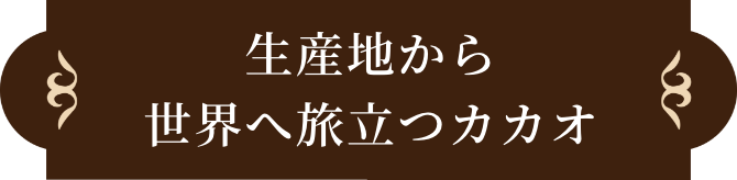 生産地から世界へ旅立つカカオ