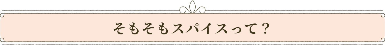 そもそもスパイスって？