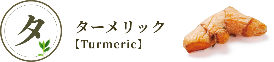 ターメリック【Turmeric】