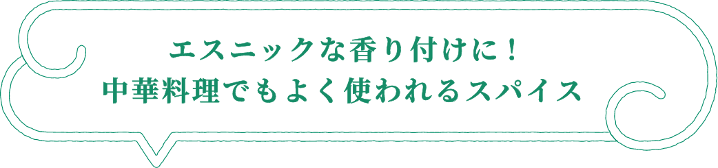 エスニックな香り付けに！中華料理でもよく使われるスパイス