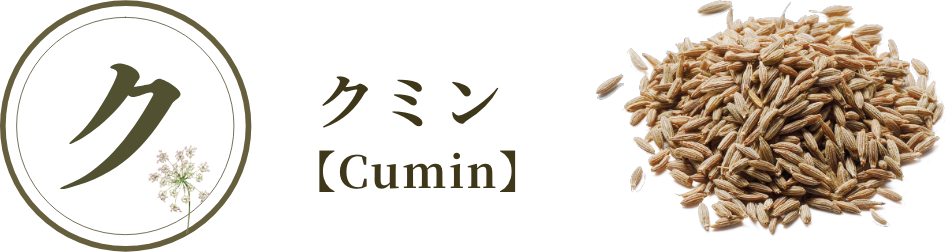 クミン【Cumin】