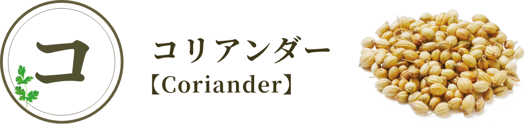 コリアンダー【Coriander】