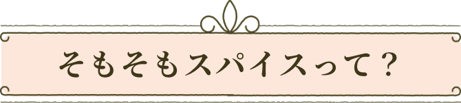 そもそもスパイスって？
